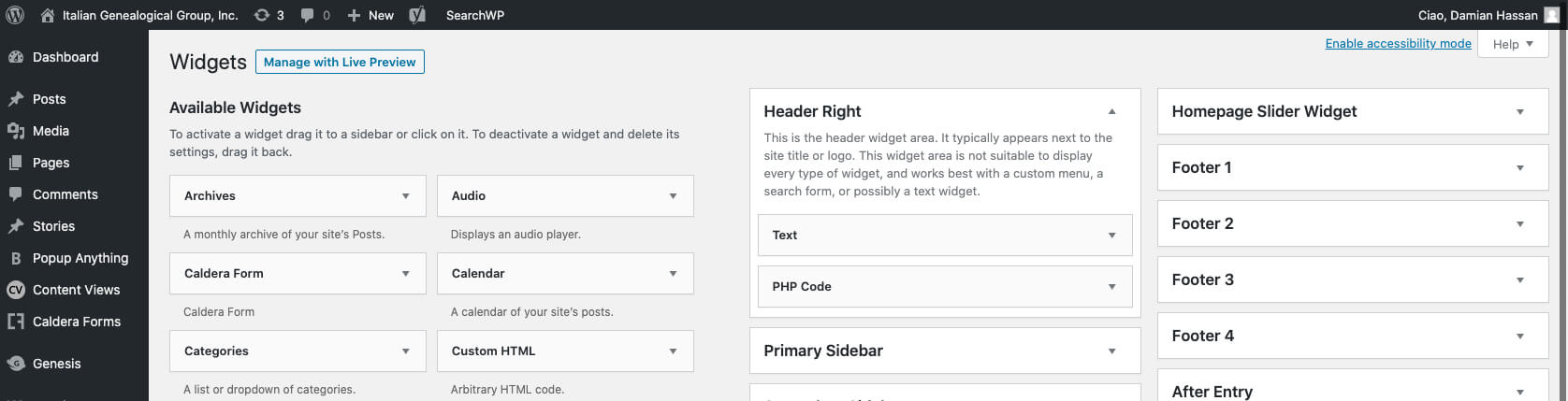 The WordPress Widgets page